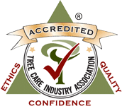 Blue Ribbon Tree certification