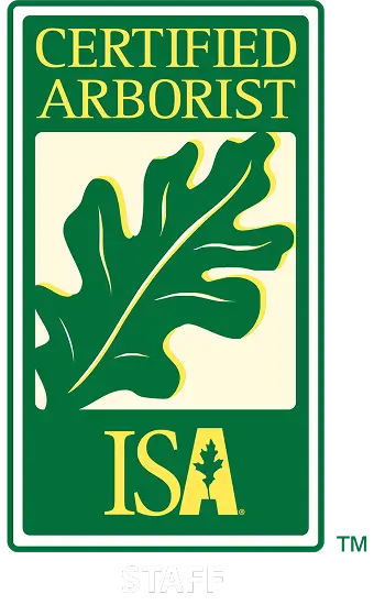 Blue Ribbon Tree certification